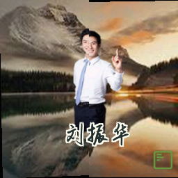 刘振华